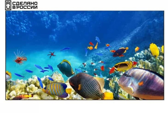 Изображение Панель для видеостен EliteBoard 55" BE-55C7