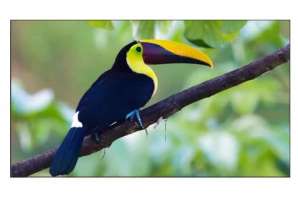  Фото видеостена 3x2 exell 55" expd-wa55ab05 - фото 3